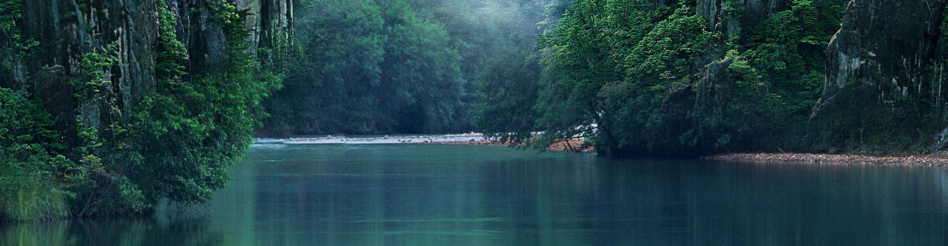 《国策》谓之良商，何必鬻良而杂苦，效鲁人之晨饮其羊